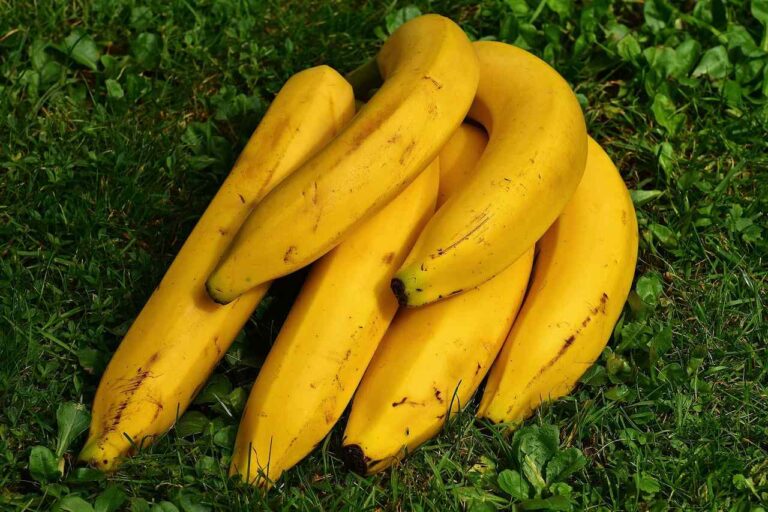 Best Banana Pick Up Lines And Rizz