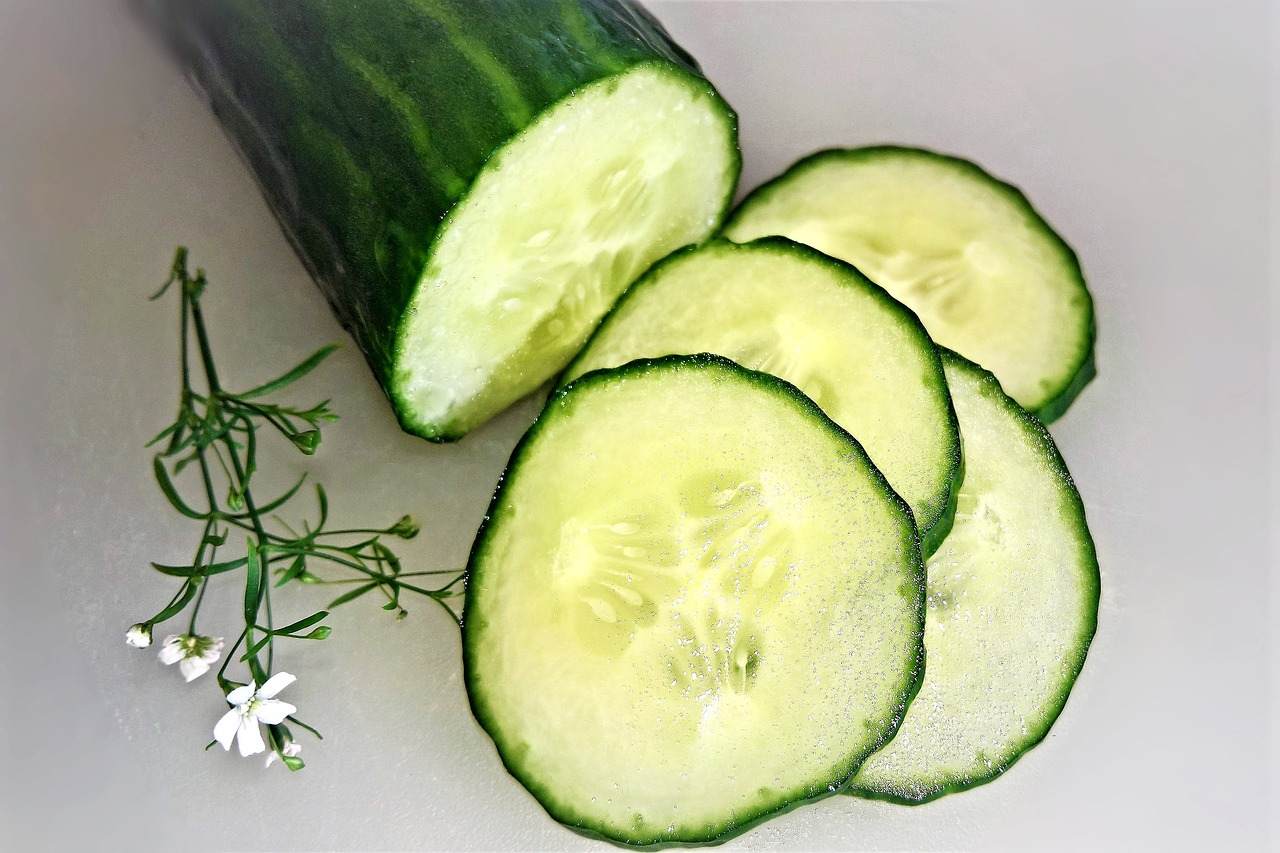 Best Cucumber Pick Up Lines And Rizz