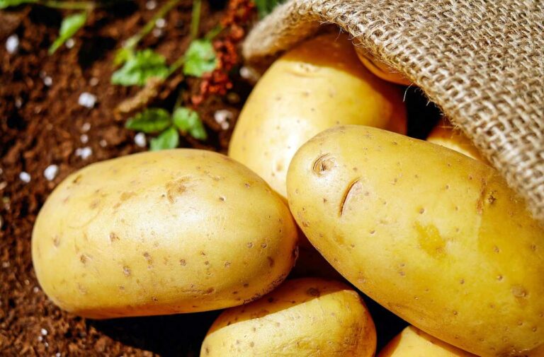 Best Potato Pick Up Lines And Rizz