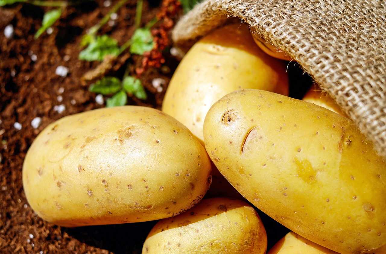 Best Potato Pick Up Lines And Rizz